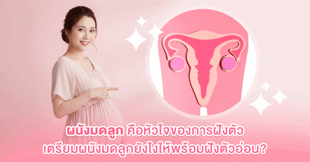 ผนังมดลูกคือหัวใจของการฝังตัว