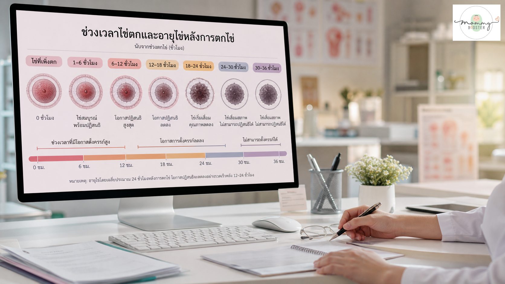 ภาพจำลองเซลล์ไข่หลังการตกไข่พร้อมช่วงเวลาเป็นชั่วโมง