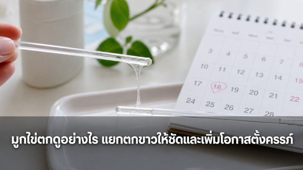 มูกไข่ตกใสยืดเป็นเส้นสำหรับสังเกตช่วงเจริญพันธุ์